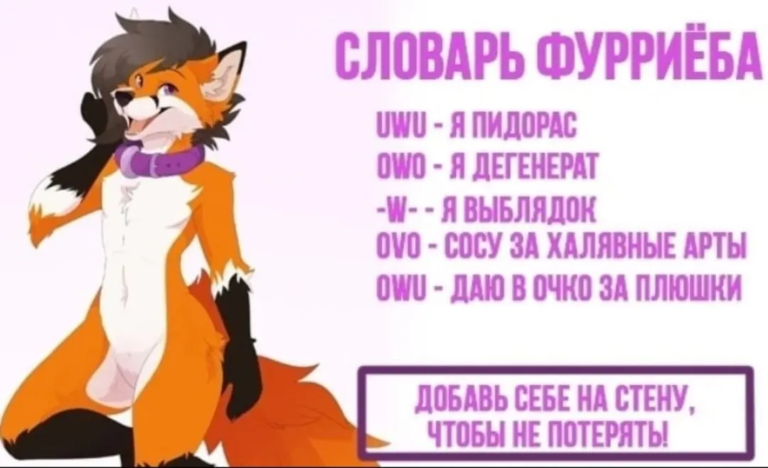 Furry Chat Site